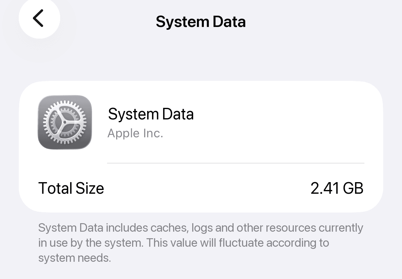 The System Data screen in iPhone Storage, showing its total size and the iOS description of caches, logs and other resources