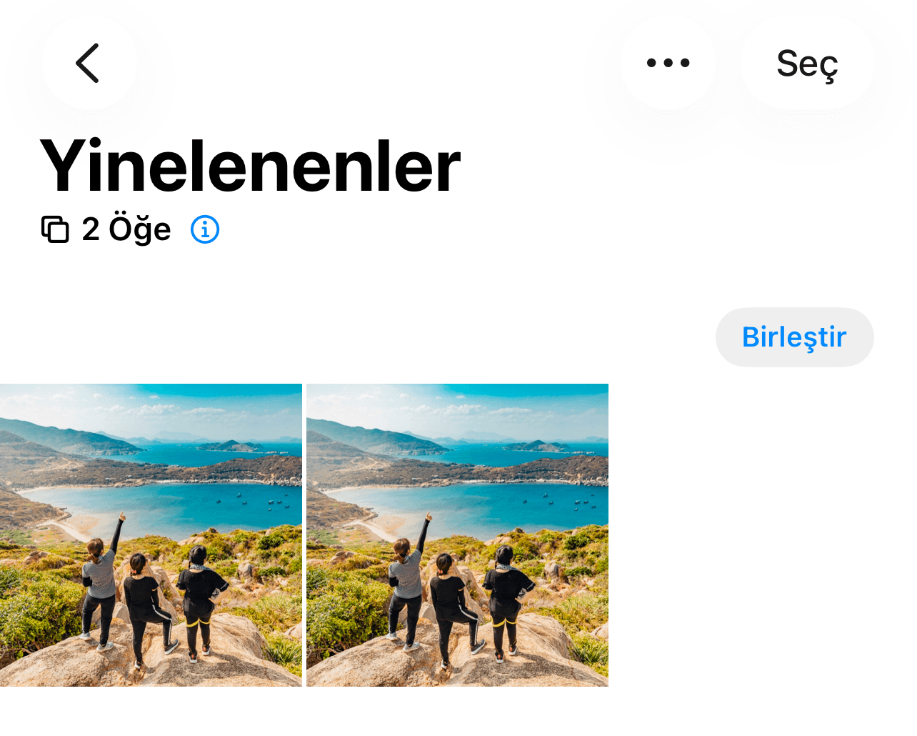 Yinelenenler albümünde bir kopya grubu ve yanında Birleştir düğmesi